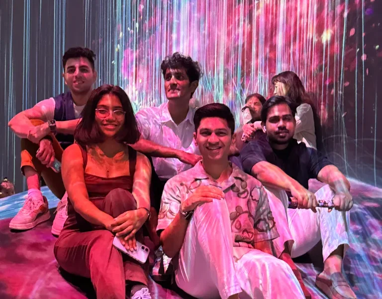 Japan- teamLabs Borderless with Friends