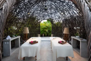 Bali Yoga Retreat Guide: Ubud & Beyond for the Ultimate Reset