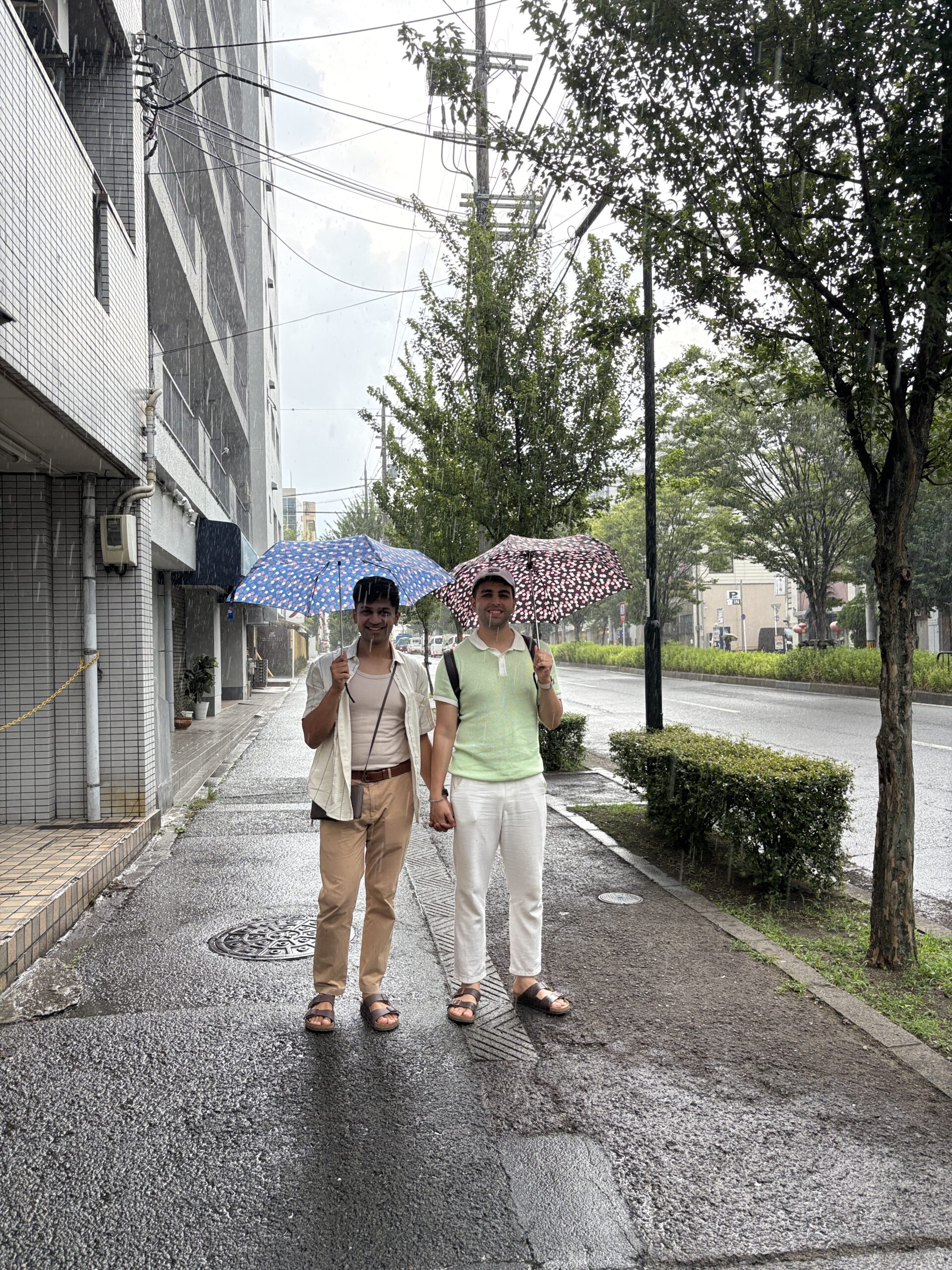 Travelling to Japan with Infants, Seniors, Disabilities, Pregnant Women, and Pets: A Practical Guide