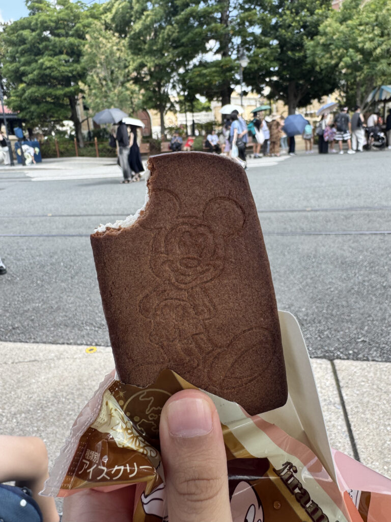 Tokyo DisneySea Review: The Most Overhyped ₹7,000 I Ever Spent