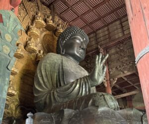 The Bowing Deer of Nara: Why a Half-Day Trip Will Be the Most Joyful Part of Your Japan Itinerary