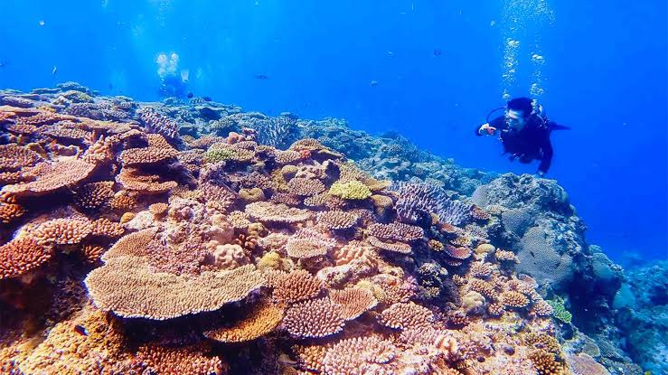 Exploring Okinawa: Beaches, Islands, Visa, Costs & Why It’s Different from Mainland Japan