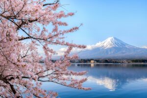 How to Explore Mt Fuji and the Fuji Five Lakes: Honest Day Trips, Multi-Days, Cycling, and Climbing (The Completed Guide for Indian Travellers)