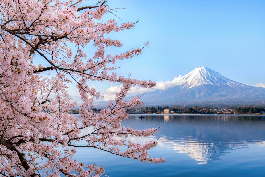 How to Explore Mt Fuji and the Fuji Five Lakes: Honest Day Trips, Multi-Days, Cycling, and Climbing (The Completed Guide for Indian Travellers)