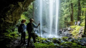 Japan’s Best Outdoor Exp: A Curated Guide for Those Who Want More Than Tokyo & Kyoto