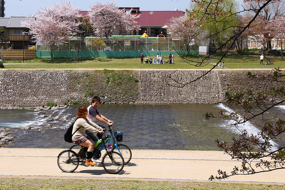 E-Bike Rental Kyoto: 14 km Through Dark Forests, A Wild Boar, and Why You Must Cycle in Kyoto